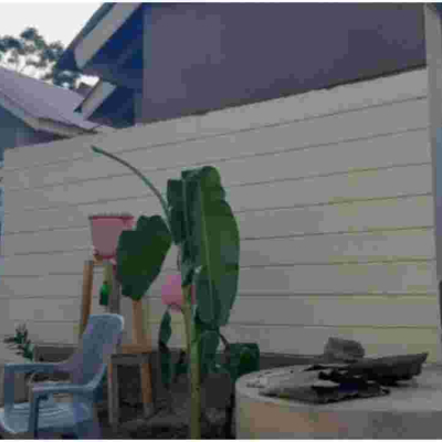 Kenyan Widow Who Boiled Stones for Her Starving Kids Moves into Sh1.4 Million House 