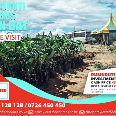 Affordable Investment Plots Available