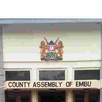 Embu MCAs Fly to Tanzania to Learn Etiquette and Campaign Language