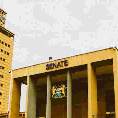 Senators Approve a Bill Seeking to Encourage Kenyans in Diaspora to Invest Back Home