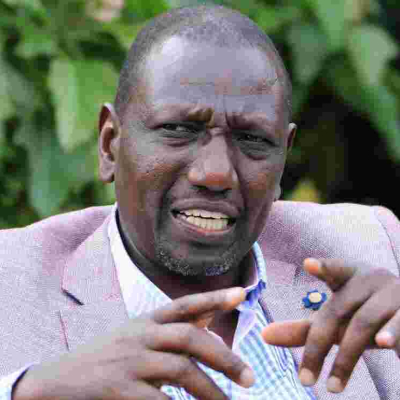Congolese Senator Demands an Apology from William Ruto over Cow Remarks 