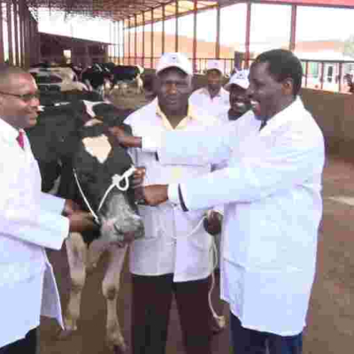 Uhuru Delivers Gift of a Special Cow to Burundi President Evariste Ndayishimiye