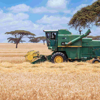 Wealthy Investors to be Given Idle Kenya Gov't Land for Large-Scale Farming 
