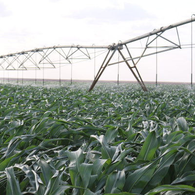 President Ruto Orders Revival of the Failed Galana Kulalu Irrigation Project