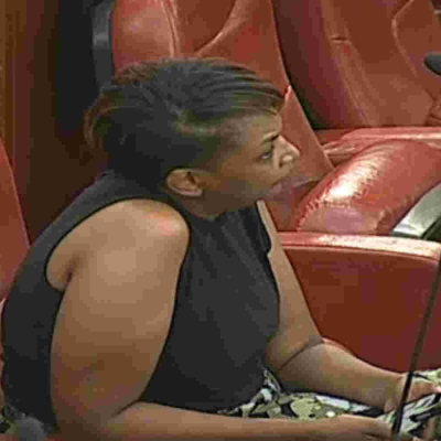 Senator Karen Nyamu Expelled from Senate Chamber over Inappropriate Dressing