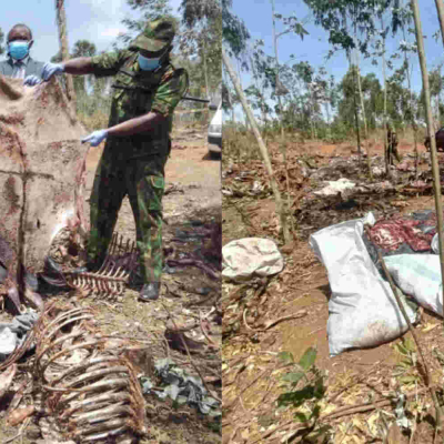 Two Arrested After Police Raid an Illegal Donkey Abattoir in Kiambu