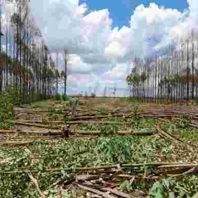 Police Probe Invasion of Kenyatta Family’s Ruiru Farm by Goons 