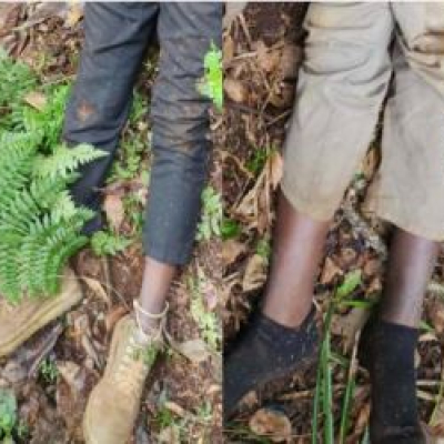 Murang'a: Two Suspected Thugs Gunned Down, Sh1.1 Million Recovered After Unaitas Sacco Heist