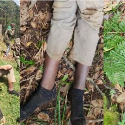 IPOA Probes Controversial Shooting of Two Suspected Bank Robbers in Murang'a
