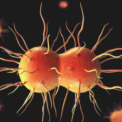 Alarm as Kenya Scientists Discover New Strains of Gonorrhea and Chlamydia