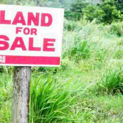 What to Do When the Government Acquires Your Land Compulsorily