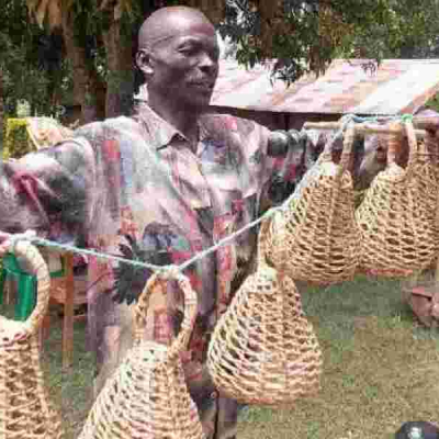 Why Quail Hunting Remains Popular in Western Kenya