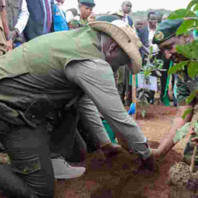 Kenya's Tree Planting Day Allegedly Crafted for Financial Gain