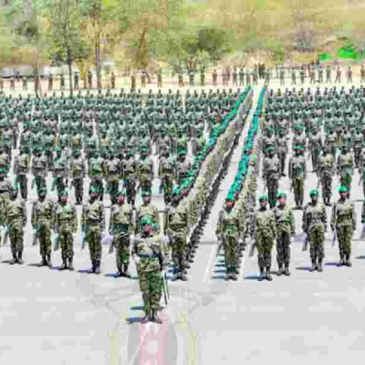 NYS Graduates Offered Job Openings in the United Kingdom