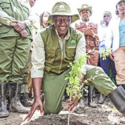 President Ruto's Environmental Leadership Lands Him on Time Magazine's Top 100 List 