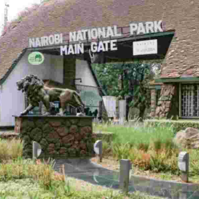 Kenya Govt Grants Free Entry to National Parks on Jamhuri Day