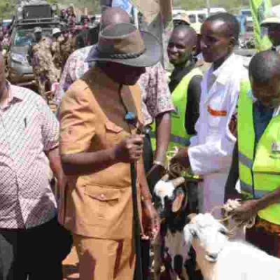 Ruto and Gachagua Acquire 1,000 Goats for Sh15 Million at Kimalel Goat Auction