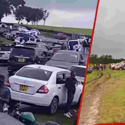 Government Cracks Down on Immoral Parties in Kiambu Tea Plantations