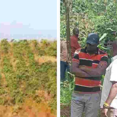 60-Year-Old Woman Brutally Murdered, Money Left Untouched