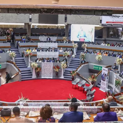 Strategies for Government to Leverage Diaspora Beyond Financial Contributions