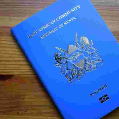 Kenyan Woman Confronts Passport Delays as Overseas Job Hangs in the Balance 