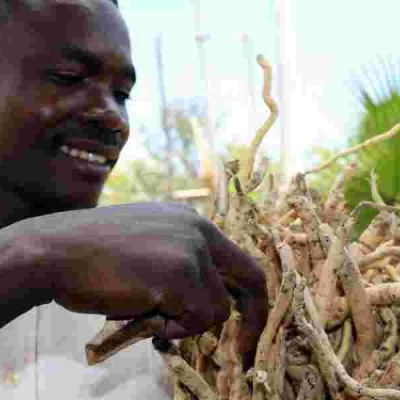 From Mukombero to Maasai Shuka: The Surprising Global Appeal of Kenya Household Items 