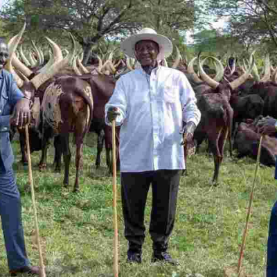 Ruto-Odinga Meeting Sparks Speculation of Political Truce