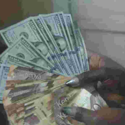 Shilling Bounces Back, Recoups Half the Value Lost 