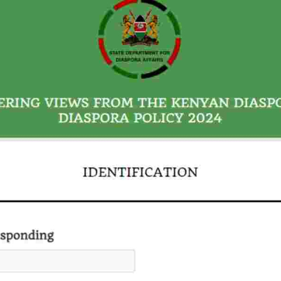 Government Seeks Diaspora Input for Investment Feedback and Policy Revision 