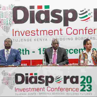 Kenyan Diaspora Invited to Contribute to National Development Through Skills Transfer Program