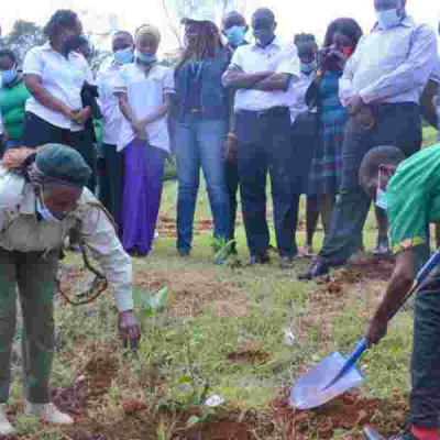 Kenya's Ambitious Plan to Plant 15 Billion Trees By 2032