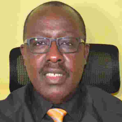 Germany-Based Kenyan Man's Consortium Wins KSh 830m to Convert Mushrooms to Healthy Proteins