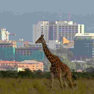 Nairobi Climbs to 4th Place in Africa's High-Rent City Rankings