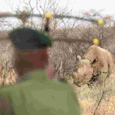 Kenya Celebrates Tourism Week with Free National Park Access