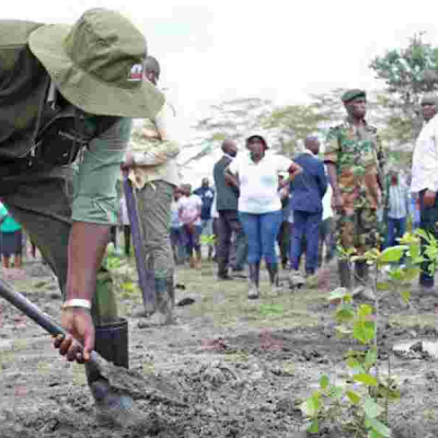Everything You Should Know About Mazingira Day 2024