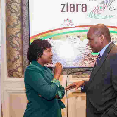 Kenya Taps Diaspora Power to Boost Tourism in 'Ziara Kenya' Campaign