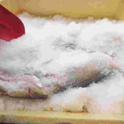 Kenyan Company Wins Prestigious Earthshot Prize for Innovative Waste-Reduction Solutions