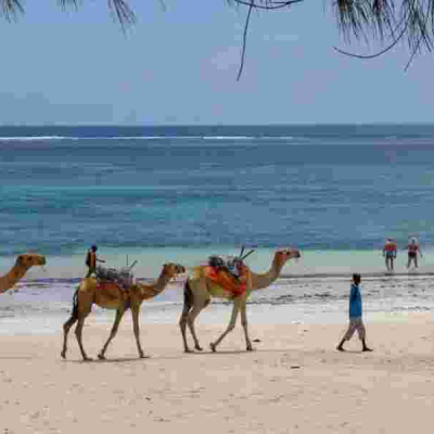 Lamu Authorities Urge Caution on Treacherous Indian Ocean Beaches