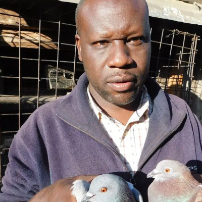 School Dropout Builds Thriving Pigeon Empire in Kenya, Attracts International Filmmakers