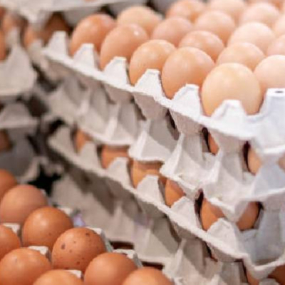 Kenya Moves to Scrap Excise Duties on Imported Eggs, Onions, and Potatoes