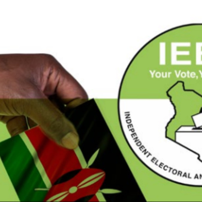 Petitioners Seek to Void IEBC Appointments Made in Defiance of Court