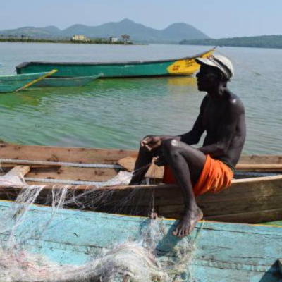 The Hidden Threat That Could Wipe Tilapia Off East African Menus