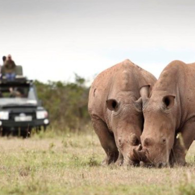 KWS Seeks to Raise National Park Fees by 50%