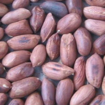 KEBS Cracks Down on Uncertified Goods in Karen, Ngong, and Kiserian