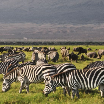List of Proposed New Prices for Nairobi, Amboseli, Tsavo & All Other Parks