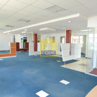 Prime Office Space in Nairobi Records Higher Occupancy on Increased Demand