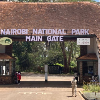 KWS Plans Free Entry to Parks for Elderly, Children, and Registered Guides