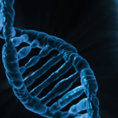 Claims of Fake DNA and Birth Certificate Fuel Nairobi Custody Fight