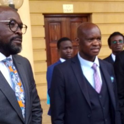 Embu Senator Opposes DP Expulsion Over Support for UDA's Wamuthende in Mbeere North