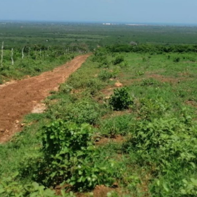 Developers Accused of Making Millions from Scamming Diaspora